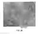 Fig. 28 - Processing biomass