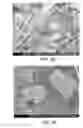 Fig. 33 - Processing biomass