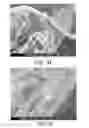 Fig. 34 - Processing biomass