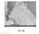 Fig. 35 - Processing biomass