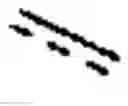 Fig. 03 - Enzymes and polymerases for the synthesis of RNA