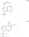 Fig. 103 - Enzymes and polymerases for the synthesis of RNA