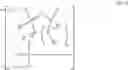 Fig. 104 - Enzymes and polymerases for the synthesis of RNA