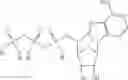 Fig. 111 - Enzymes and polymerases for the synthesis of RNA