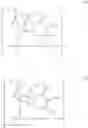 Fig. 17 - Enzymes and polymerases for the synthesis of RNA
