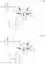 Fig. 24 - Enzymes and polymerases for the synthesis of RNA