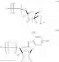 Fig. 28 - Enzymes and polymerases for the synthesis of RNA