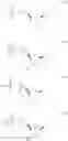 Fig. 29 - Enzymes and polymerases for the synthesis of RNA