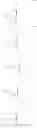 Fig. 48 - Enzymes and polymerases for the synthesis of RNA
