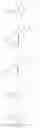 Fig. 54 - Enzymes and polymerases for the synthesis of RNA