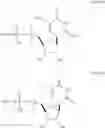 Fig. 62 - Enzymes and polymerases for the synthesis of RNA