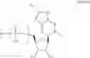 Fig. 75 - Enzymes and polymerases for the synthesis of RNA