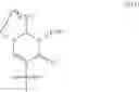 Fig. 98 - Enzymes and polymerases for the synthesis of RNA