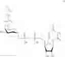 Fig. 15 - Process for the modification of a glycoprotein using a glycosyltransferase that is or is derived from A β(1,4)-N-acetylgalactosaminyltransferase