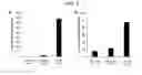 Fig. 04 - HIGH-PERFORMANCE EMPIRICAL ANALYSIS OF METABOLIC PATHWAYS IN MICROALGAE USING CELL-FREE SYSTEM