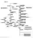 Fig. 08 - HIGH-PERFORMANCE EMPIRICAL ANALYSIS OF METABOLIC PATHWAYS IN MICROALGAE USING CELL-FREE SYSTEM