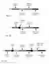 Fig. 02 - MULTIPLEX ON-ARRAY DROPLET PCR AND QUANTITATIVE PCR