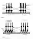 Fig. 03 - MULTIPLEX ON-ARRAY DROPLET PCR AND QUANTITATIVE PCR