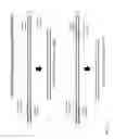 Fig. 11 - MULTIPLEX ON-ARRAY DROPLET PCR AND QUANTITATIVE PCR
