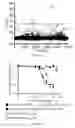 Fig. 02 - Recombinant RSV reporter virus