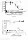 Fig. 04 - Recombinant RSV reporter virus