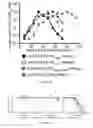 Fig. 07 - Recombinant RSV reporter virus