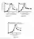 Fig. 22 - Recombinant RSV reporter virus