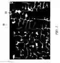 Fig. 03 - METHOD FOR PROCESSING A METAL COMPONENT