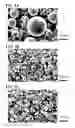Fig. 04 - Method for manufacturing copper alloy and copper alloy