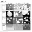 Fig. 06 - Method for manufacturing copper alloy and copper alloy