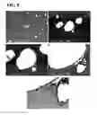 Fig. 09 - Method for manufacturing copper alloy and copper alloy