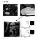 Fig. 13 - Method for manufacturing copper alloy and copper alloy