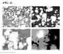 Fig. 22 - Method for manufacturing copper alloy and copper alloy