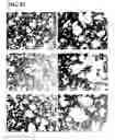 Fig. 23 - Method for manufacturing copper alloy and copper alloy
