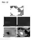 Fig. 24 - Method for manufacturing copper alloy and copper alloy