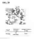 Fig. 26 - Method for manufacturing copper alloy and copper alloy