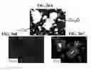 Fig. 27 - Method for manufacturing copper alloy and copper alloy