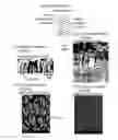 Fig. 03 - Electrode, membrane electrode assembly, electrochemical cell, and stack