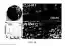 Fig. 11 - Systems and methods for producing metal clusters; functionalized surfaces; and droplets including solvated metal ions