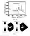 Fig. 15 - Systems and methods for producing metal clusters; functionalized surfaces; and droplets including solvated metal ions