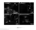 Fig. 16 - Systems and methods for producing metal clusters; functionalized surfaces; and droplets including solvated metal ions