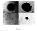 Fig. 18 - Systems and methods for producing metal clusters; functionalized surfaces; and droplets including solvated metal ions