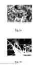 Fig. 04 - One-dimensional titanium nanostructure and method for fabricating the same
