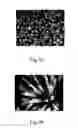 Fig. 05 - One-dimensional titanium nanostructure and method for fabricating the same