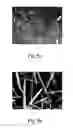 Fig. 06 - One-dimensional titanium nanostructure and method for fabricating the same