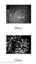 Fig. 07 - One-dimensional titanium nanostructure and method for fabricating the same