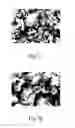 Fig. 09 - One-dimensional titanium nanostructure and method for fabricating the same