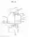Fig. 46 - Wall-mounted drum-type washing machine
