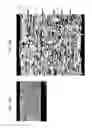 Fig. 10 - PAPERBOARD, METHOD FOR PRODUCING THE SAME, AND IMAGE FORMING METHOD USING PAPERBOARD