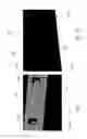 Fig. 25 - EXPLOSIVE BLAST ENERGY DISSIPATING AND CARRYING BUILDING STRUCTURE